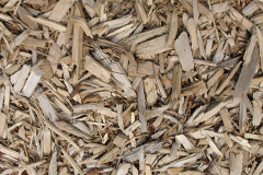 biomass boilers Llywernog