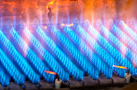 Llywernog gas fired boilers